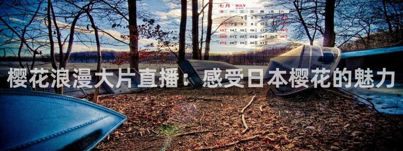星空传媒在线观看高清