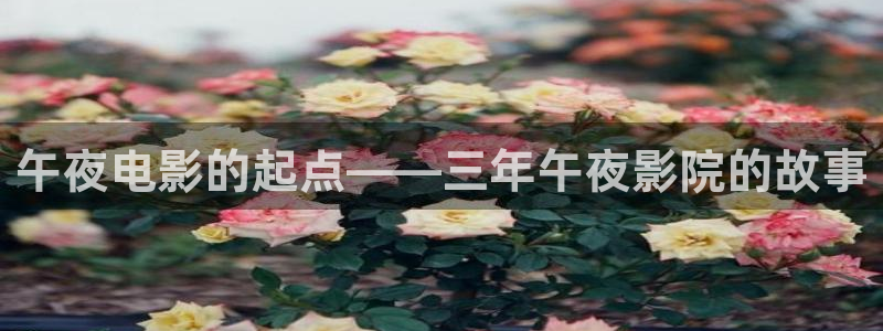星空影视app官网