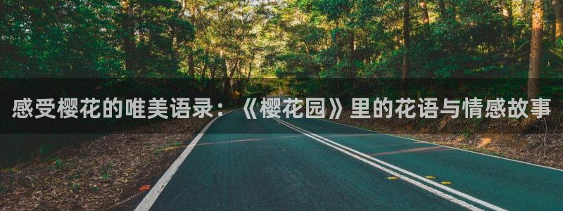 星空视频在线观看完整