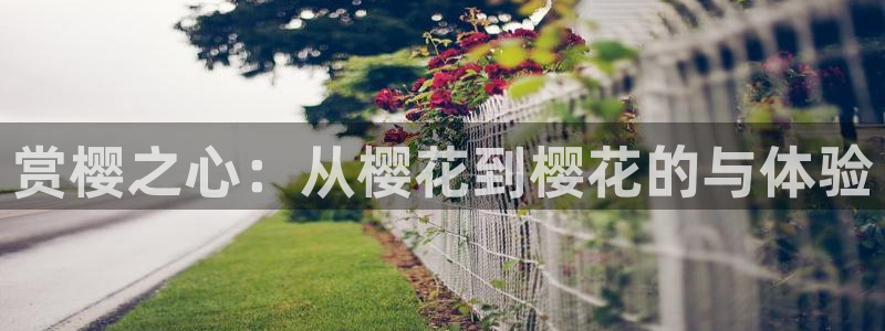 纳雍星空影城