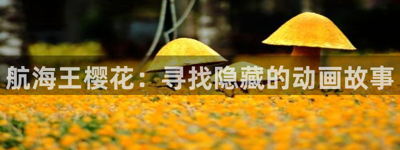 老湿影院福利