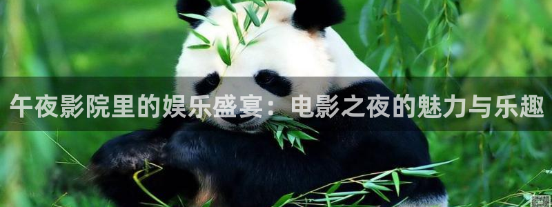 星空电影网最新