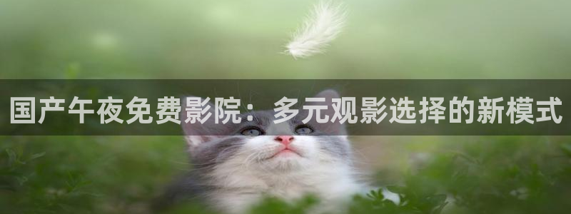 风车动漫动漫星空