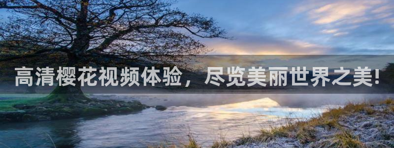 老湿影院电视剧在线看入口免费
