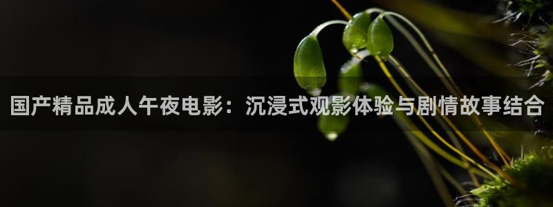 老湿影院影视大全免费追剧