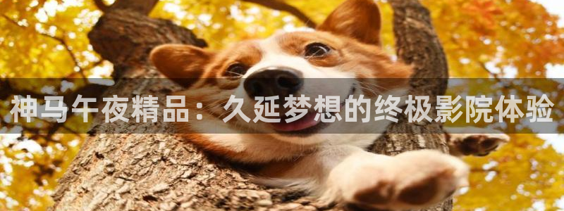 狂飙老湿影院免费观看