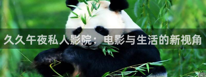 星空无限传媒在线观看