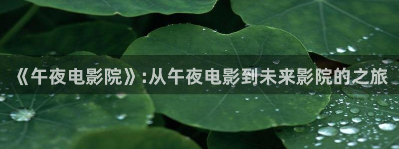 星空影业有限公司