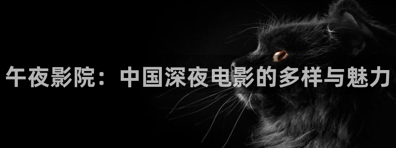 星空影视免费观看电影大全在线观看