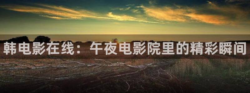 老湿影院在线观看全集免费高清电影