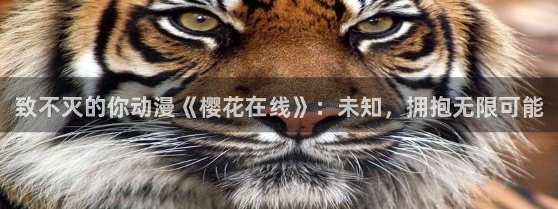 遮天动漫在线观看完整版免费老湿影院