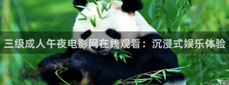老湿影院高清电影热播电视剧