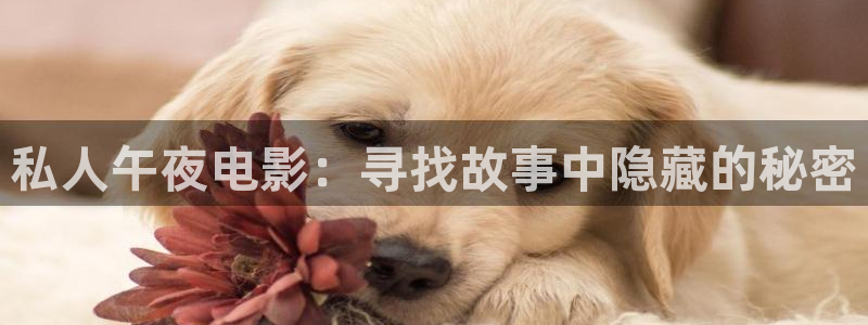 滤镜免费观看老湿影院