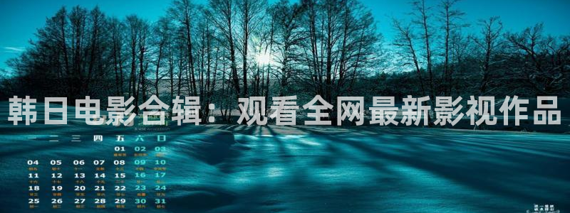 星空传媒在线播放