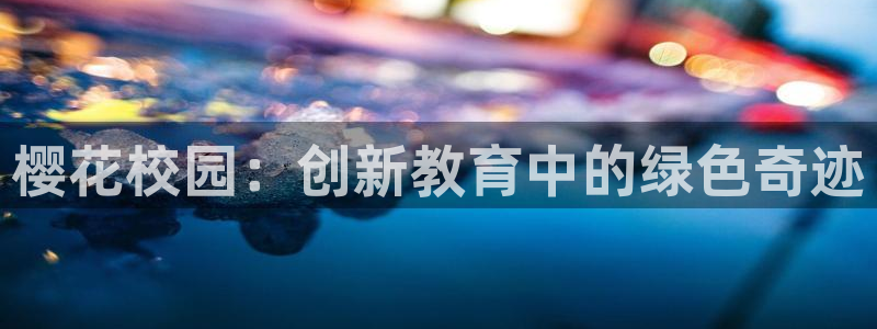 老湿影院电影电视剧全集免费