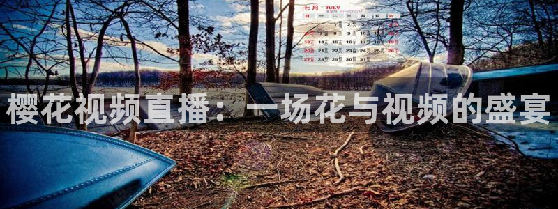 梵高的星空电影