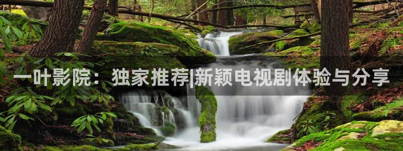 星空视频免费观看电影