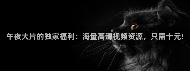 在线免费观看星空影视