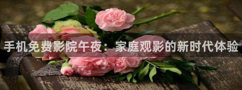 星空影视传媒在线免费观看